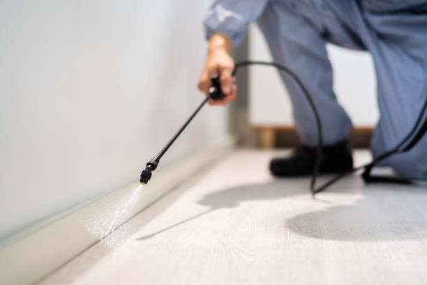 Best Cockroach Control Services  in Larch Y, WA