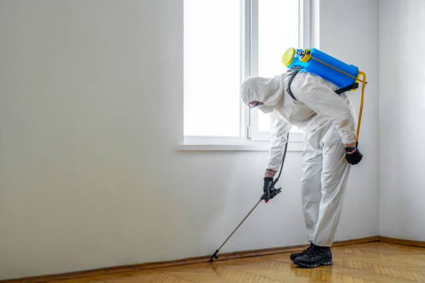 Best Best Pest Control Companies  in Larch Y, WA