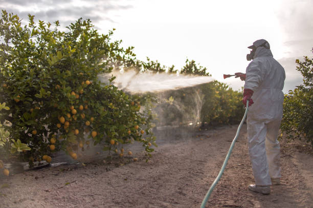 Best Best Pest Control Companies  in Larch Y, WA