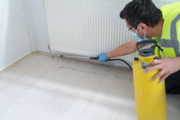 Best Mosquito Control Services  in Larch Y, WA